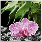ARTland Glasbilder Wandbild Glas Bild einteilig 20x20 cm Quadratisch Natur Asien Botanik Blumen Orchidee Steine Zen Entspannung Pink T5OQ