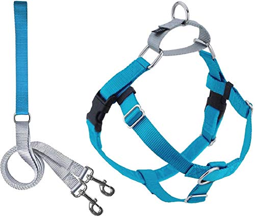 2 Hounds Design 818557022730 No-Pull Dog Harness with LeashXX-Large (1 Zoll Wide) XXLTurquoise