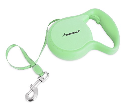 Petmate Walkabout 3 Glow Tape Collar, Green, Medium