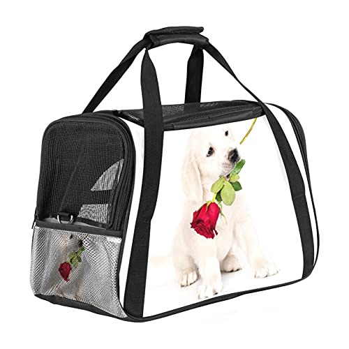 Xingruyun Hundetragetasche Golden Retriever Rose Katzentragetasche Faltbare Transporttasche Atmungsaktiv Haustiertasche Für Katzen Und Hunden 43x26x30 cm