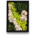 Moss Art Moosbild rechteckig 38 cm