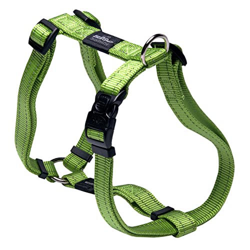 Rogz SJ06-L Utility Hundegeschirr/Fanbelt, L, grün