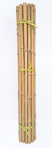 Bambusstange Bambus Bambusstangen Bambushalm 10Stk. 150cm Ø 3-4 cm