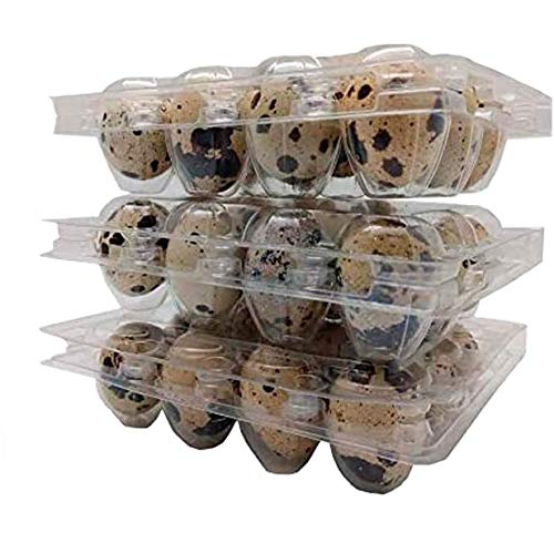 Wachtelei aus Kunststoff, Packung mit 100 Kartons für Dutzende von kleinen Eiern, Wachteln, Fasan oder Huhn, für 12 Wachteln oder kleine Eier, keine Eier enthalten