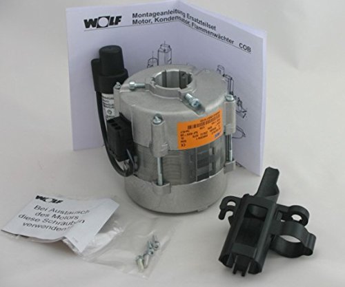 Wolf Motor fuer Oelpumpe WOLF Nr.2483632 248363299
