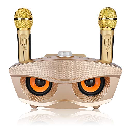 Bewinner Wireless Mikrofon Karaoke Tragbarer Karaoke-Lautsprecher für Heimparty/KTV Handheld Bluetooth-Mikrofon KTV Karaoke-Lautsprecher mit Zwei Mikrofonen für die Familie KTV Geschenk (Gold)