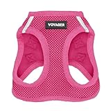 Best Pet Supplies Voyager Step-In Air Hundegeschirr – Allwetter-Mesh-Geschirr für kleine und mittelgroße Hunde – Fuchsia (passender Rand), XS