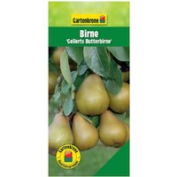 Gartenkrone Birne, Pyrus communis »Gellerts Butterbirne«, Früchte: süß