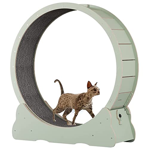Cat Exercise Wheel Indoor Treadmill Small Animals Exercise Wheels, cat Runway, Fitness Weight Loss Device, Cat Running Wheel, Pet Toy, Large-Sized cat Wheel,Green-M