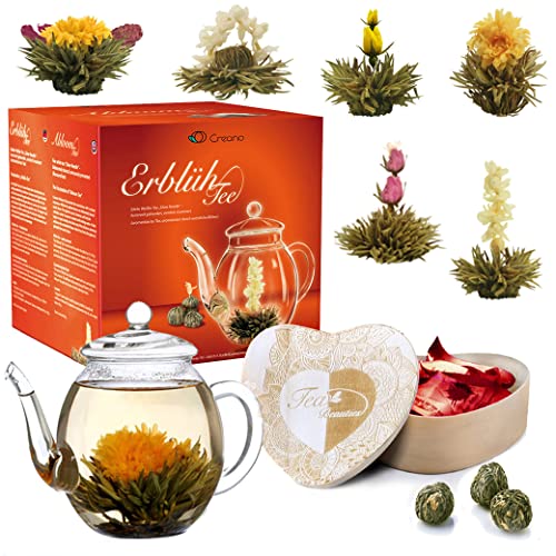 Creano Geschenkset Erblühtee Teeblumen Mix in Holzschachtel in Herzform - 6 Sorten Weißer Tee inkl. Glas Teekanne 500ml
