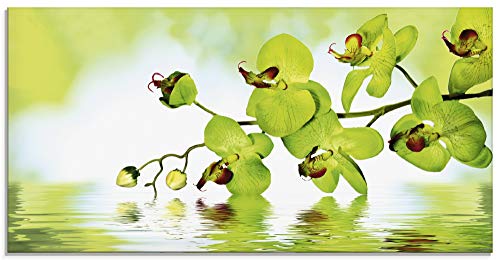 Artland Qualitätsbilder I Glasbilder Deko Glas Bilder 125 x 50 cm Botanik Blumen Orchidee Foto Grün D8PW Schöne Orchidee mit grünem Hintergrund