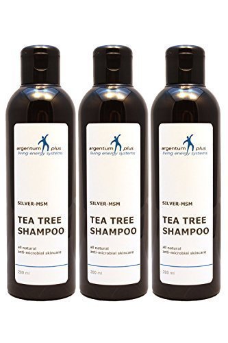 Silber-MSM Teebaum Shampoo 3 x 200 ml