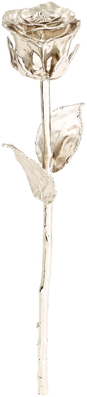 St. Leonhard Platinrose: Echte Rose für Immer schön, mit 18-karätigem* Platin veredelt, 28 cm (Geschenk Damen, Geschenk Rose, Geschenkverpackung)