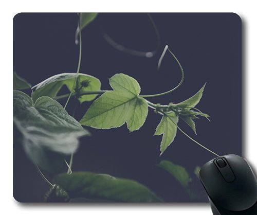 (Precision Lock Edge Mouse Pad) Abstract Blur Branch Close-up Color Environment Gaming Mouse Pad Mouse Mat for Mac or Computer
