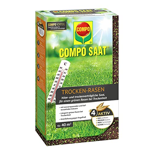Compo Saat Trocken-Rasen, Hitze- und trockenverträgliche Saat für trockene und sonnige Standorte, 1 kg, 40 m²