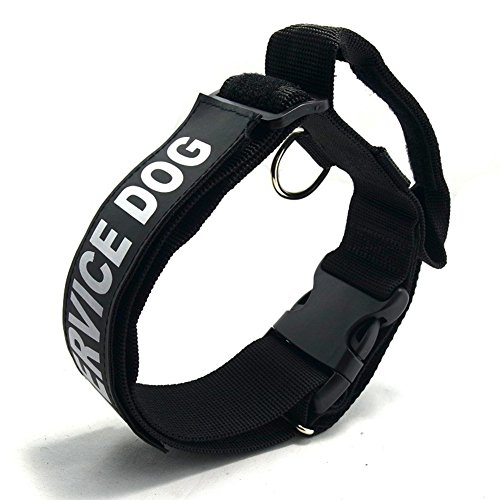 Pet Online Hundehalsband nylon verstellbare weiche, bequeme Tragen mit Griff Halsband, schwarz, L: 5* 49-76 cm