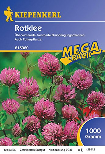 Rotklee - 1 kg Gründünger Mega-Pack