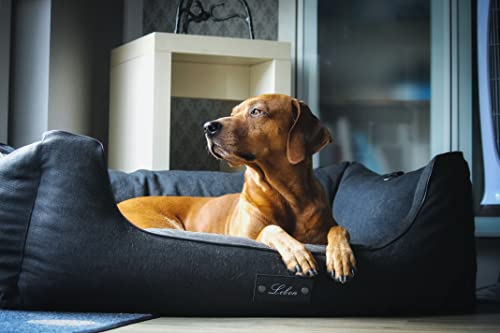 Lebon - Hundebett Carl Plus - Orthopädisch- mit Liegedecke zum befestigen - Deluxe - Made IN EU