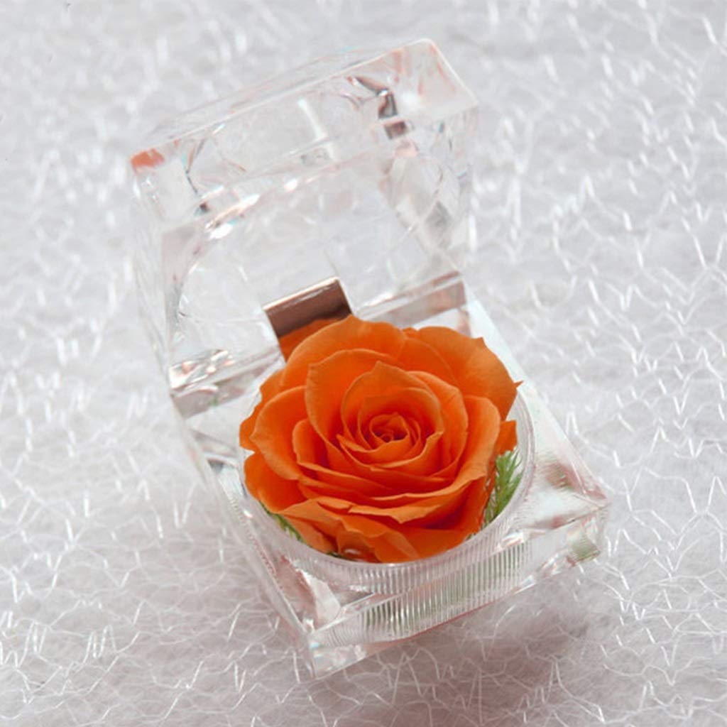 MHCYKJ Einzigartig Ewige Blume In Acrylringbox Konservierte Blumenrose Handgemachte Unsterbliche Rose Geschenk Für Sie Am Geburtstag Weihnachten Valentinstag Jahrestag (Color : Orange)