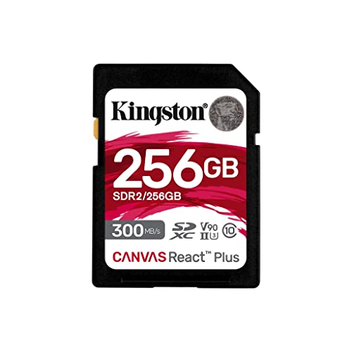 Canvas React Plus 256 GB SDXC, Speicherkarte