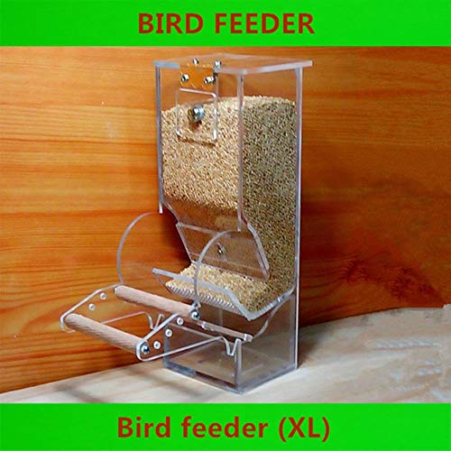 AFRUDDR Bird Tools Automatische Futterautomaten Starling Parrot Bird Equipment Diät-Tools Kleine Vogelhäuschen Transparente Lebensmittelbehälter, Weiß, XL