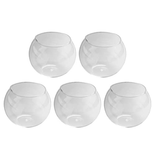 Duendhd 5 x runde Vasen aus transparentem Glas für Aquarien