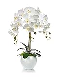 Künstliche Orchideen Kunstblumen im Übertopf aus Keramik | Gesamthöhe: 60cm | EU Handarbeit | Farbe: Weiß