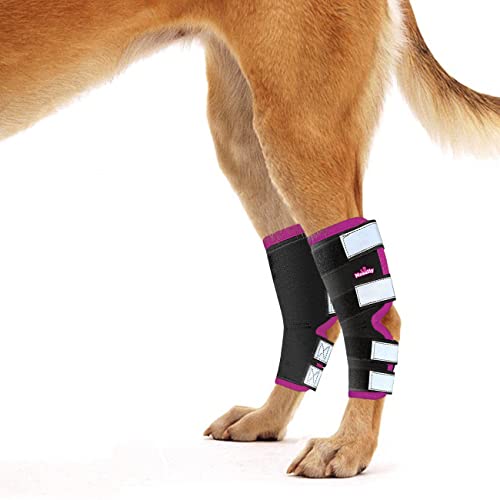 NeoSportsLab Hunde-Beinbandage, für Hinterbeine, Pink, Größe XS