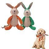 NNBWLMAEE Robustrabbit- Designed for Heavy Chewers, Invincipaw Dog Toy Heavy Chewers, Robust Rabbit Dog Toy, Squeaky Toys for Dogs, Indestructible Robust Dogs Toys (2pcs A)