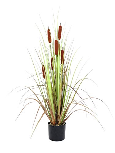 EUROPALMS Rohrkolben, Kunstpflanze, 120cm | Krautig wachsende Sumpf- und Wasserpflanze aus Kunststoff