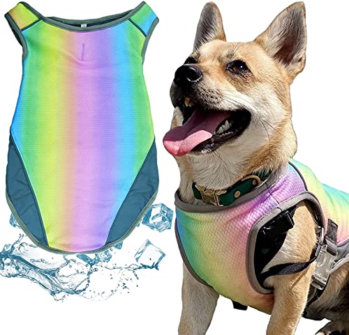 Kühlweste für Hunde, atmungsaktiv, kühl, Regenbogenfarben, Welpenweste mit Schnalle für kleine, mittelgroße Hunde, Training, Spaziergänge (XXL)