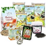 Dehner Natura Wildvogelfutter Futterbuffet Maxi, Streufutter und Snacks, 8-teilig