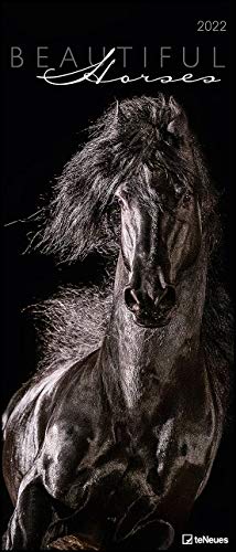Beautiful Horses 2022 - Foto-Kalender - Wand-Kalender - 30x70