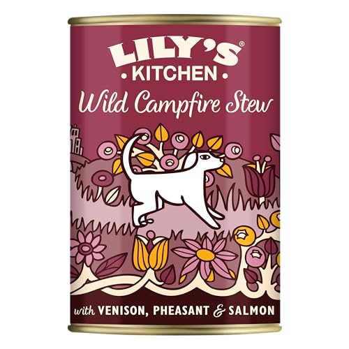 Lilys Kitchen Wild Lagerfeuer Eintopf Hunde Dosenfutter (6 Dosen) (6 x 400g) (kann variieren)