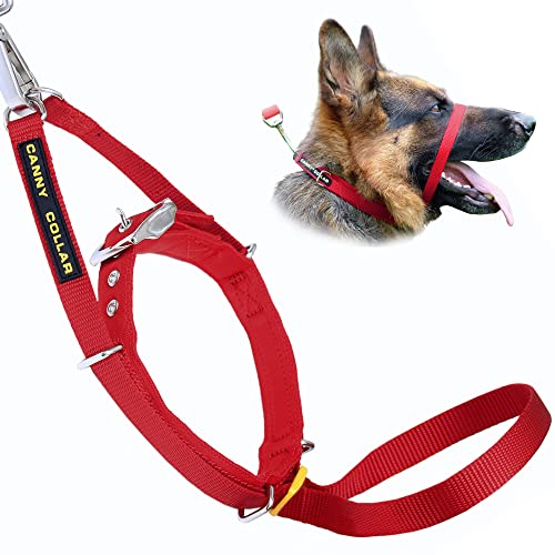 Canny Dog Collar Red Größe 3