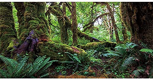 AWERT 183 x 61 cm Tropischer Wald Terrarium Hintergrund Grün Riesiger Baum Reptilien Habitat Hintergrund Regenwald Aquarium Hintergrund Durable Polyester Hintergrund