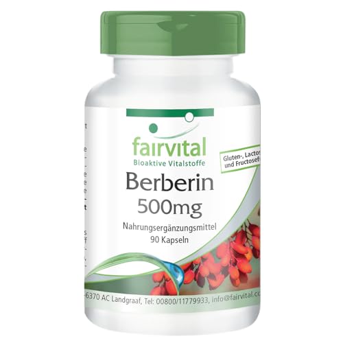 Berberin 500mg - HOCHDOSIERT - VEGAN - 90 Kapseln - Berberin HCl