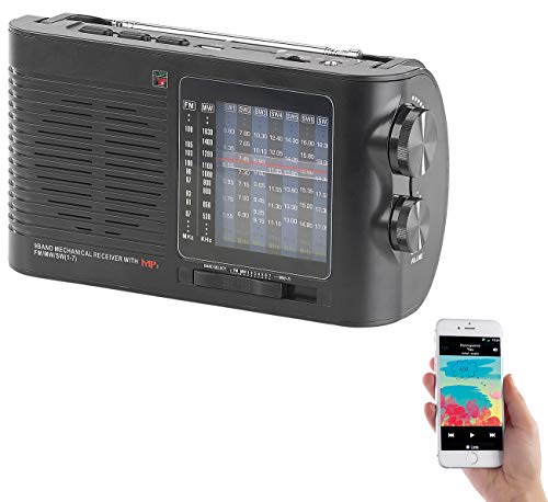 auvisio UKW Radio: Analoger 9-Band-Weltempfänger mit Bluetooth, USB, SD, AUX und Akku (Kurzwellen Radio)