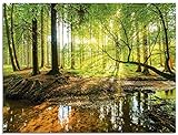Glasbilder Wandbild Glas Bild einteilig 80x60 cm Querformat Wald Natur Landschaft Bäume Bach Sonne Frühling T9IO ARTland
