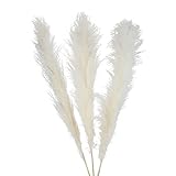 flature Großes Pampasgras XXL 120cm Lang - 3 Stiele Deko Boho Style natürlich getrocknet, Fluffiges Schilfgras als Hochzeit Tischdeko, Kranz, Trockenblumen Dekoration für Bodenvase (Sorte B - Weiß)