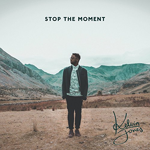 Stop the Moment [Vinyl LP]