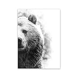 QITEX Abstrakte Bilder Schwarz-Weiß-Bär Wildnis Tierfotografie Poster Moderne minimalistische Grizzly Bär Print Leinwand Bild Home Room Deko 40x60cm ohne Rahmen