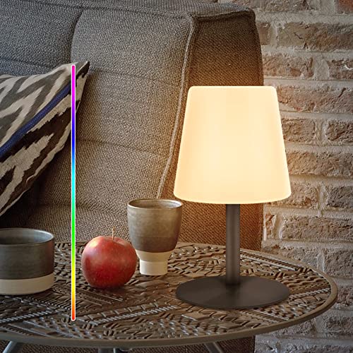 Kabellos Tischlampe 8 Farben RGB Nachttischlampe, Mit Dimmbares Farbwechsel per USB Aufladbar Für Wohn Schlafzimmer Balkon Fensterbank Treppen Leuchte Lampe (Schwarz)