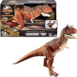 Jurassic World HBY86 - Riesendino Carnotaurus Toro-Dinosaurier-Actionfigur, ab 4 Jahren
