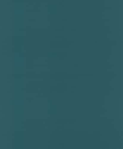 rasch Tapete 806809 - Einfarbige Vliestapete in Grün mit glatter Putzstruktur - 10,05m x 0,53m (L x B)