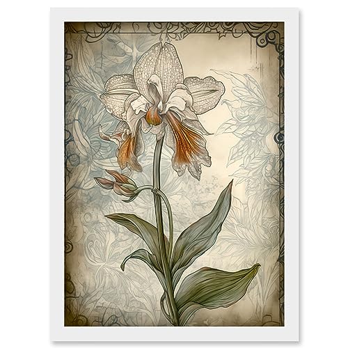 Single Orchid Flower Pastel Colour Art Nouveau Artwork Framed Wall Art Print A4