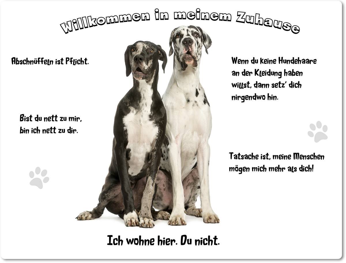 Merchandise for Fans Blechschild/Warnschild/Türschild - Aluminium - 30x40cm - - Willkommen in Meinem Zuhause - Motiv: Dogge Dänische Harlekin Dogge Zwei Tiere nebeneinander - 06