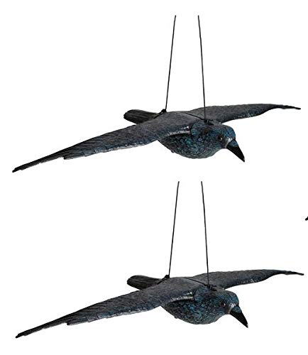 Hillfield Schwarzer Rabe fliegend oder sitzend Kunststoff Taubenschreck Taubenabwehr Vogelschreck (2 Raben fliegend)