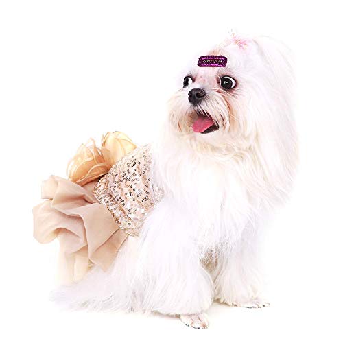 Hundekleid Haustier Kleine Hund Kleidung Pailletten Seidige Tutu Welpen Kostüm Hund Prinzessin Elegant Rock Hochzeit Kostüm (Gold M)