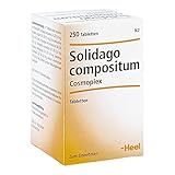 Solidago Compositum Cosmo 250 stk